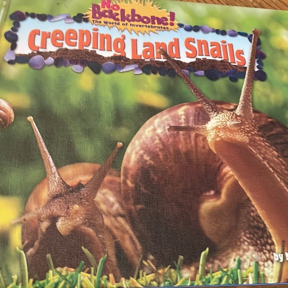 16 Children Books - Picture 5 of 16